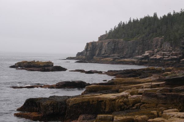 Acadia