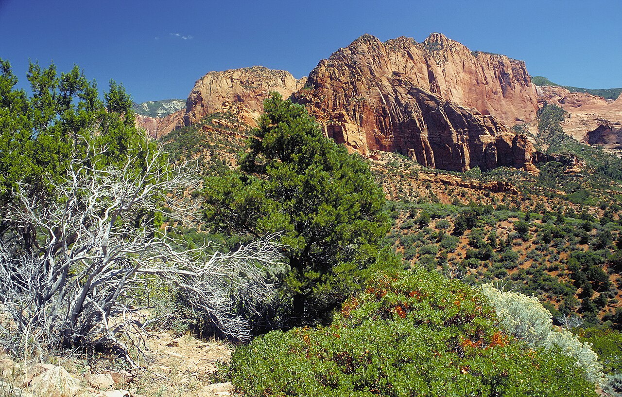 Zion